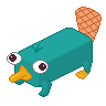 Pet-mode Perry chattering; gif